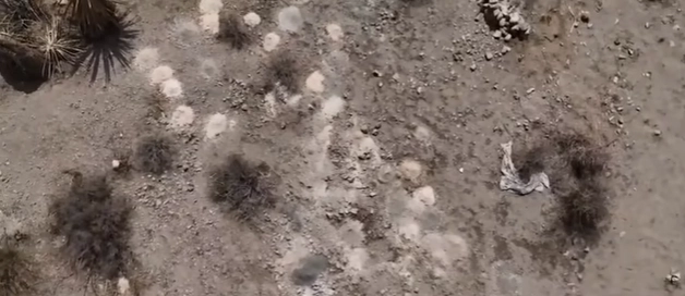 Officially Acknowledged: The 10 Strangest Events of 2025 With Zero Explanations